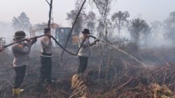 Kerahkan 123 Personel, Kapolres Kampar Pimpin Langsung Pemadaman & Pendinginan Karhutla di Rimbo Panjang