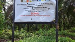 *Pucuk Adat Desa Gunung Malelo Berharap Pengelolaan KSO Lahan Eks PT Padasa Enam Utama Diprioritaskan untuk Masyarakat*