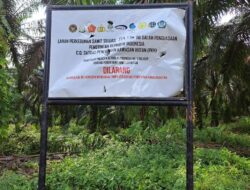 *Pucuk Adat Desa Gunung Malelo Berharap Pengelolaan KSO Lahan Eks PT Padasa Enam Utama Diprioritaskan untuk Masyarakat*