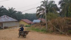 Kabel Listrik Menjuntai di Dusun 4 Pongkai Ancam Keselamatan Warga, Respon Petugas PLN Dikeluhkan