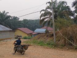 Kabel Listrik Menjuntai di Dusun 4 Pongkai Ancam Keselamatan Warga, Respon Petugas PLN Dikeluhkan